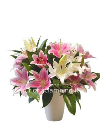 Mazzo di 5 lilium orientali assortiti.