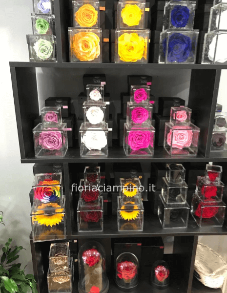 Flowercube 10*10