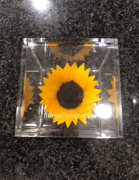 Flowercube girasole 8*8