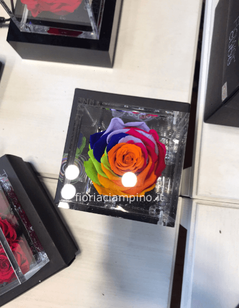 Flowercube rosa rainbow 8*8