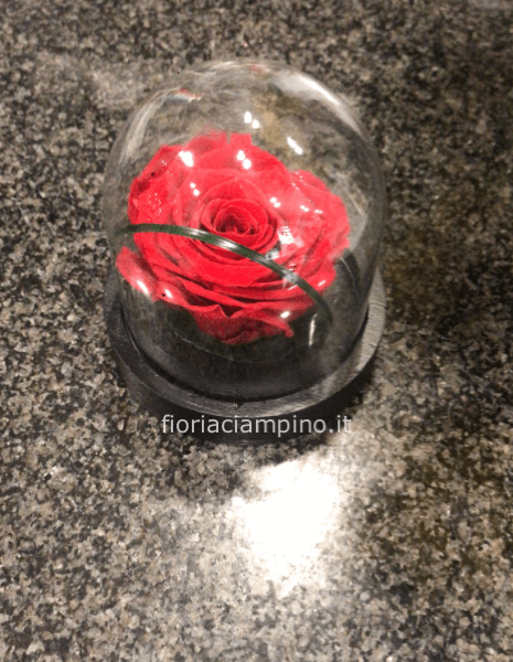 Flowercube rosa incantata h10