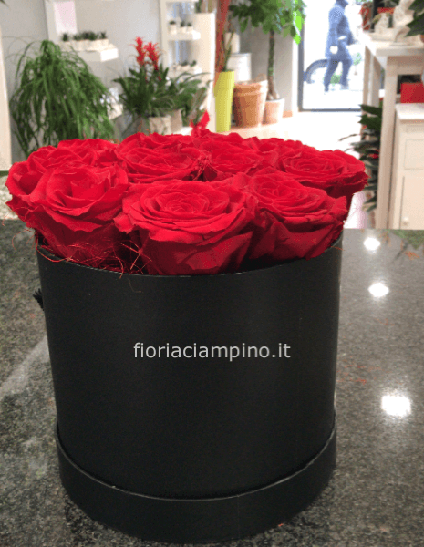 Cappelliera con 12 rose stabilizzate rosse