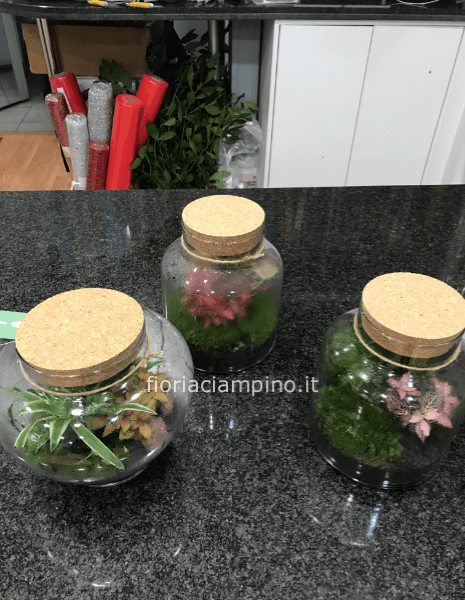 Terrarium medio