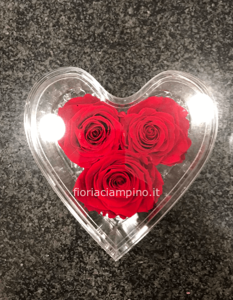 Cuore 3 rose stabilizzate medio